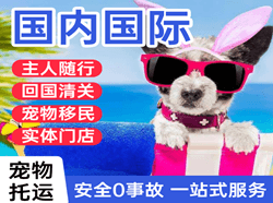 丹东浪头国际宠物托运 【国